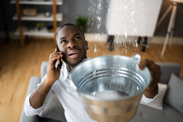 Best Sewage cleanup and water damage restoration  in Jupiter Farms, FL